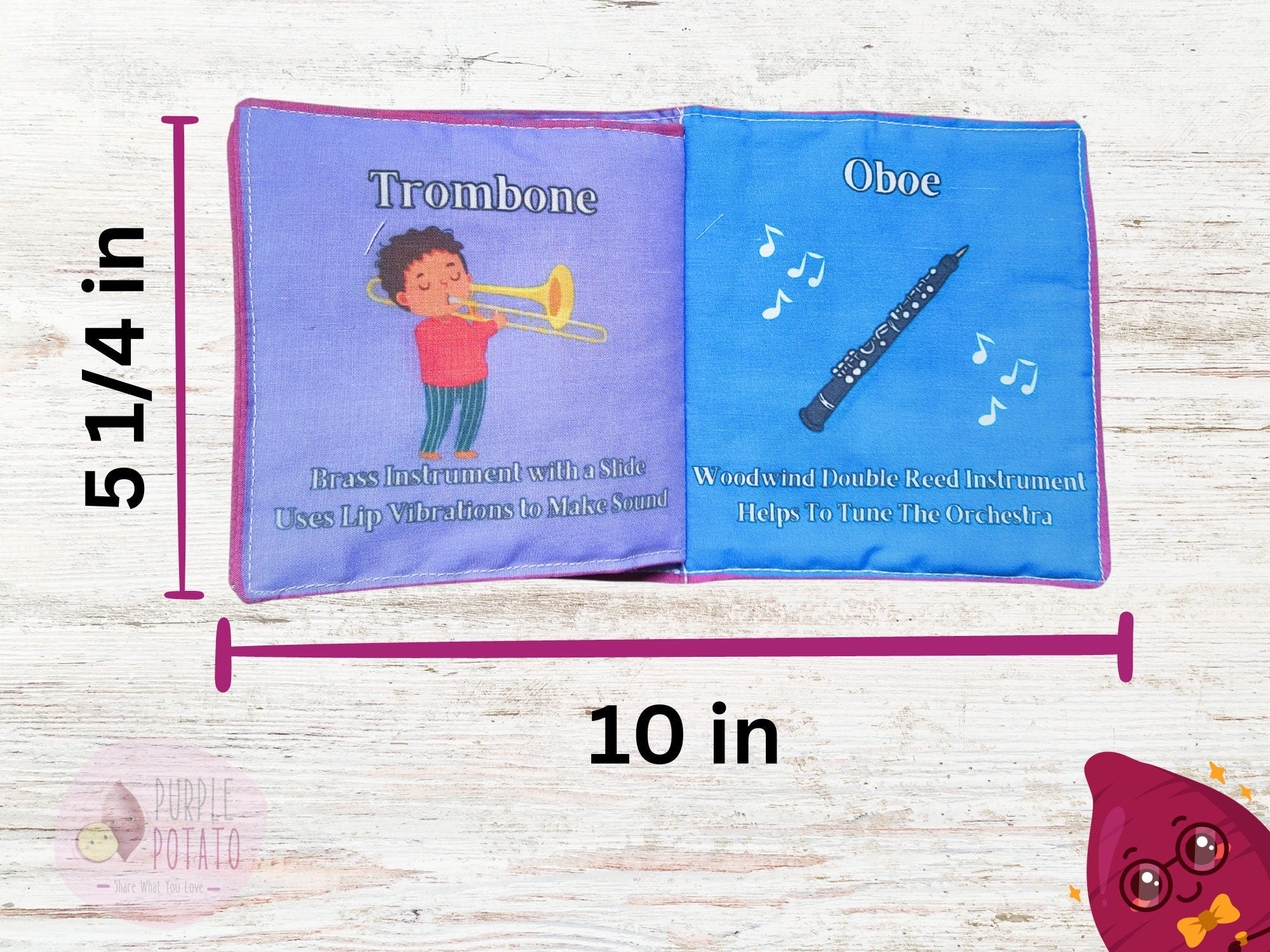 The Orchestra for Babies