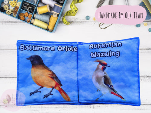 Birding for Babies