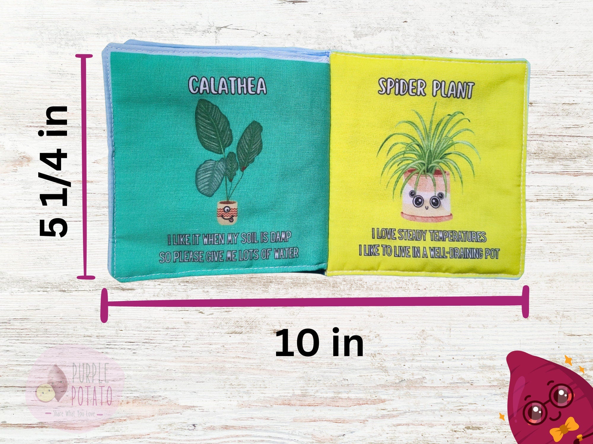 Plant Care for Babies