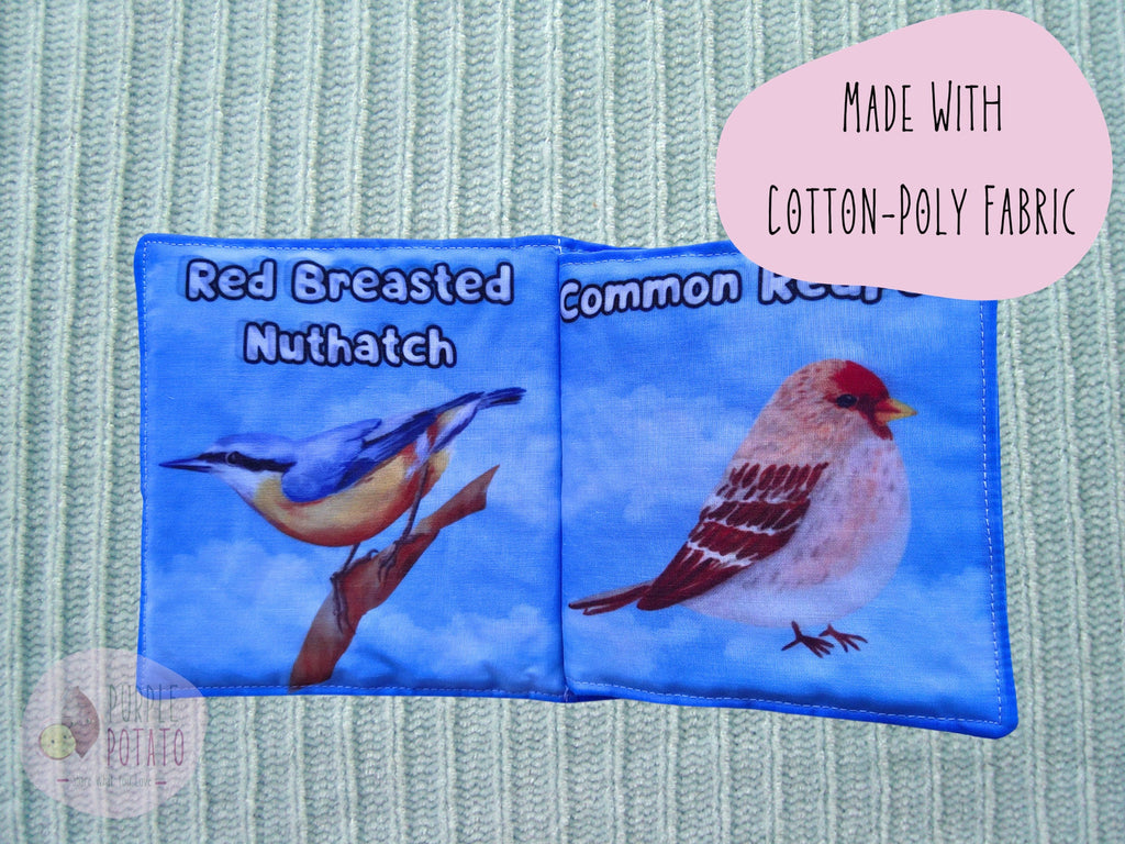 Birding for Babies