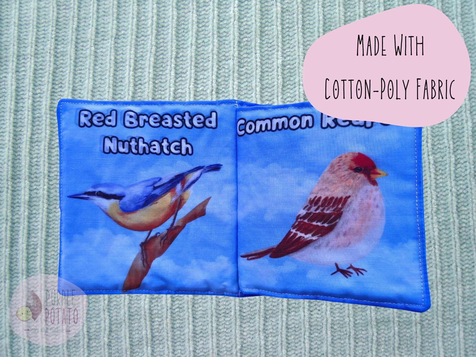 Birding for Babies